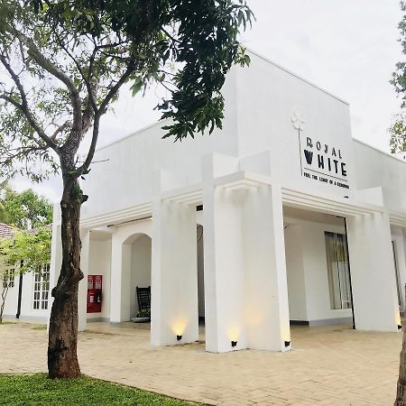 Royal White Tourist Rest Anuradhapura Exterior foto