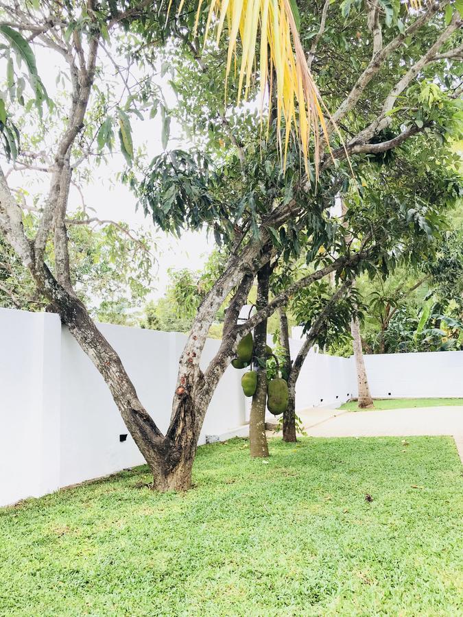 Royal White Tourist Rest Anuradhapura Exterior foto